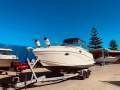 Rinker 250 Fiesta Vee
