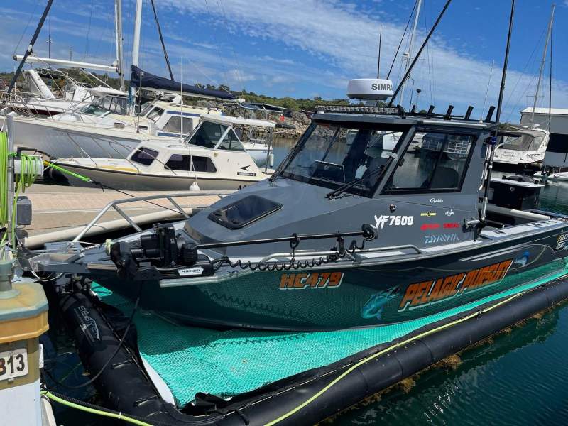 Yellowfin Plate 7600