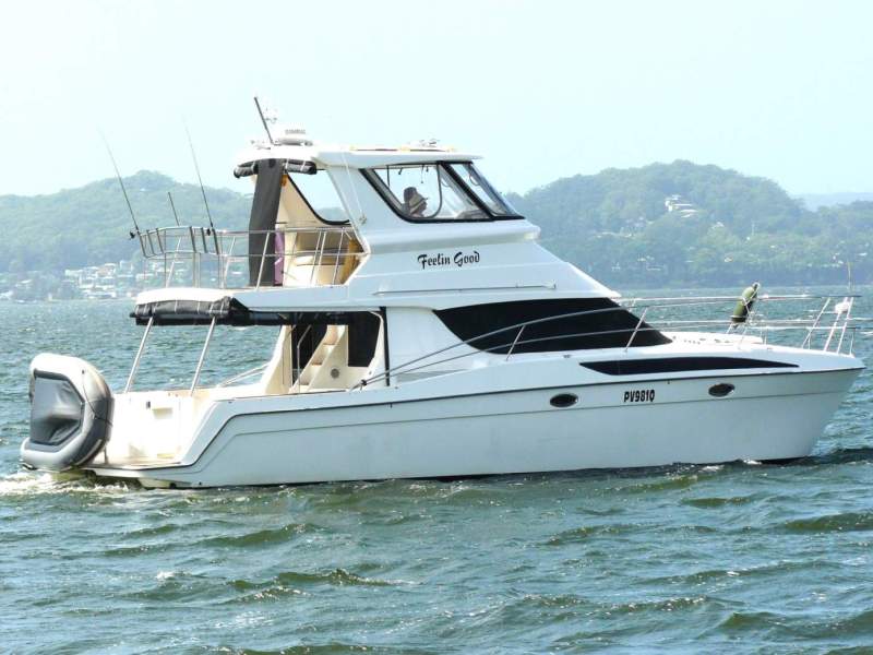 Haines Signature 4000 Power Catamaran