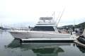 Haines Signature 4000 Power Catamaran