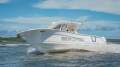 Sea Fox 368 Commander