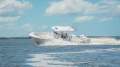 Sea Fox 368 Commander