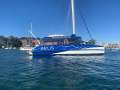 Damien Smith Design Harbourcat 41 'Zeus'