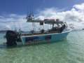 Airlie Beach Fishing Charter Business