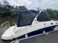 Sea Ray 315 Sundancer
