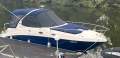 Sea Ray 315 Sundancer