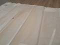 9.1m Mainsail- Dacron New