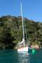 Woolley 32' Custom