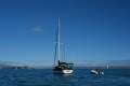 Woolley 32' Custom