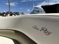 Sea Ray 275 Sundancer - Family fun!