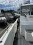 Leisurecat StormCat 8000 series - 2021 Mercury 225HP 4 strokes - 70 hours