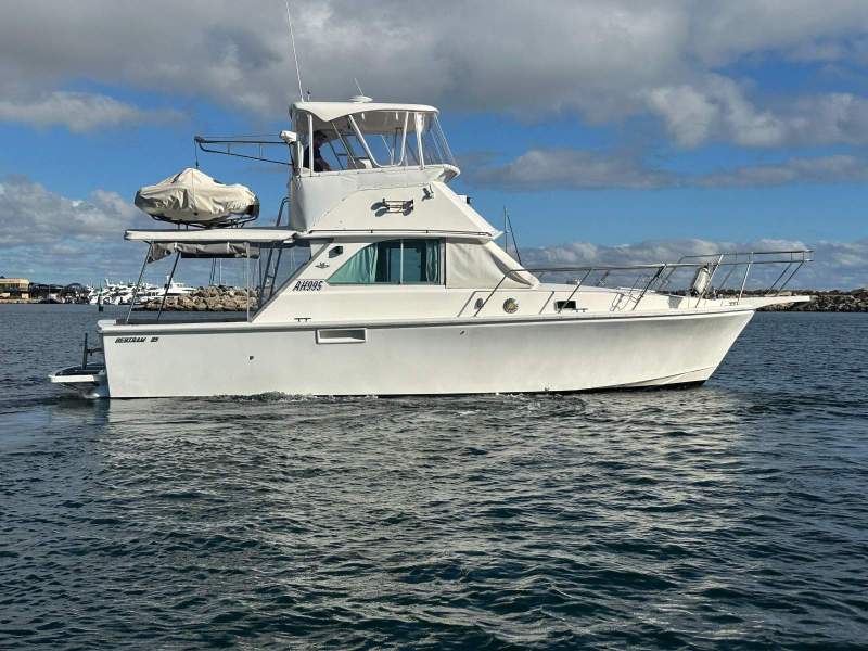 Bertram Caribbean 35