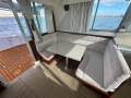 Bertram Caribbean 35