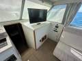 Bertram Caribbean 35