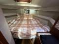 Bertram Caribbean 35