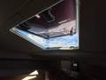 Bertram Caribbean 35