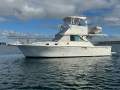 Bertram Caribbean 35