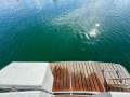 Precision Marine 50