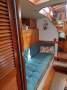 Tradewinds 33