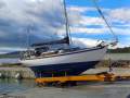 Tradewinds 33