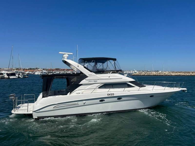 Sea Ray 450 Express Bridge