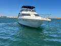 Sea Ray 450 Express Bridge