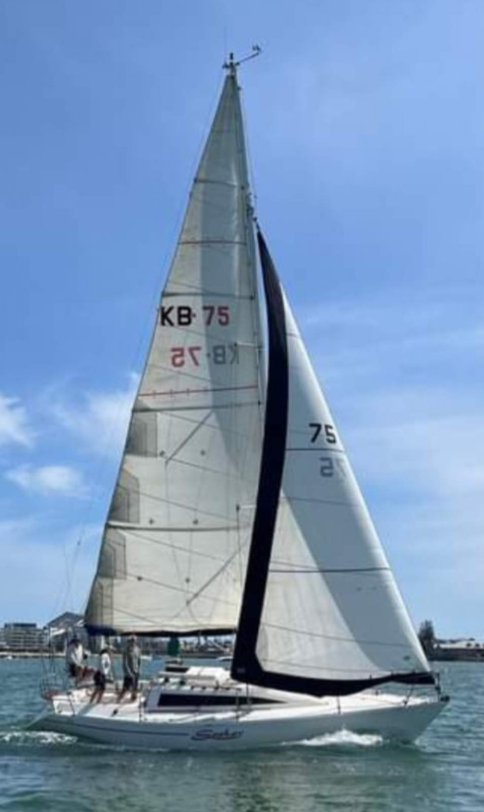 Van De Stadt Maestro 31