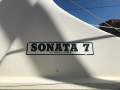 Sonata 7:Original decals