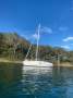 Beneteau 351