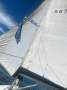 Beneteau 351