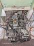 Boro Temptress 34