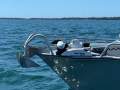 Sea Jay 5.90 Titan - Radar, 80lb Minnkota,