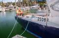 John Pugh 33 Cruising Sloop CAPABLE CRUISER, FANTASTIC VOLUME!