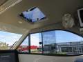 New Sailfish 3000 Platinum Sports