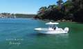 Sportsman Open 242 Centre Console:2022 Sportsman 242 For Sale in Sydney