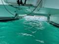 Lagoon 410 S2