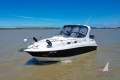 Larson Cabrio 260