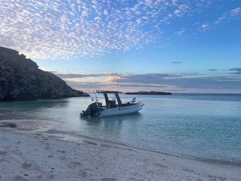 Ocean Master 651