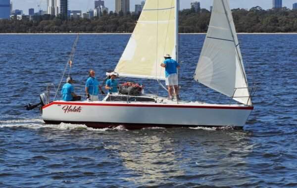 Adams 8