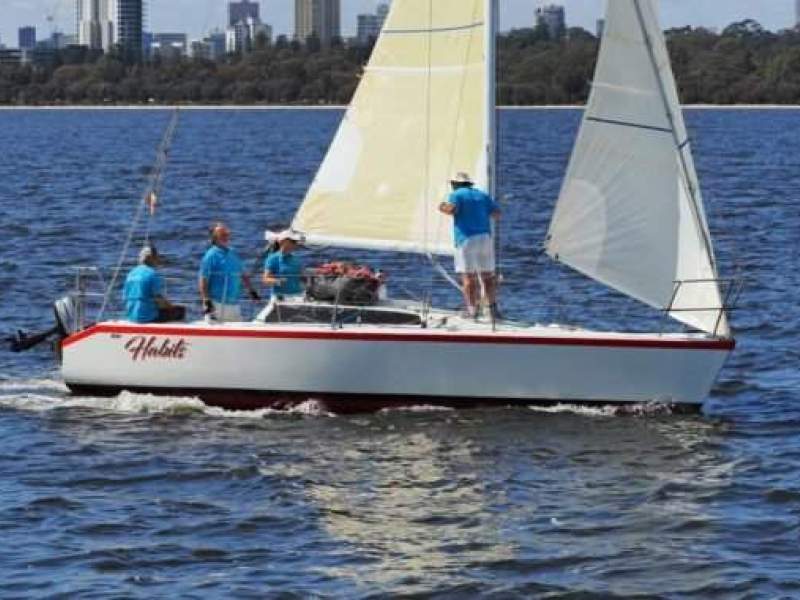 Adams 8