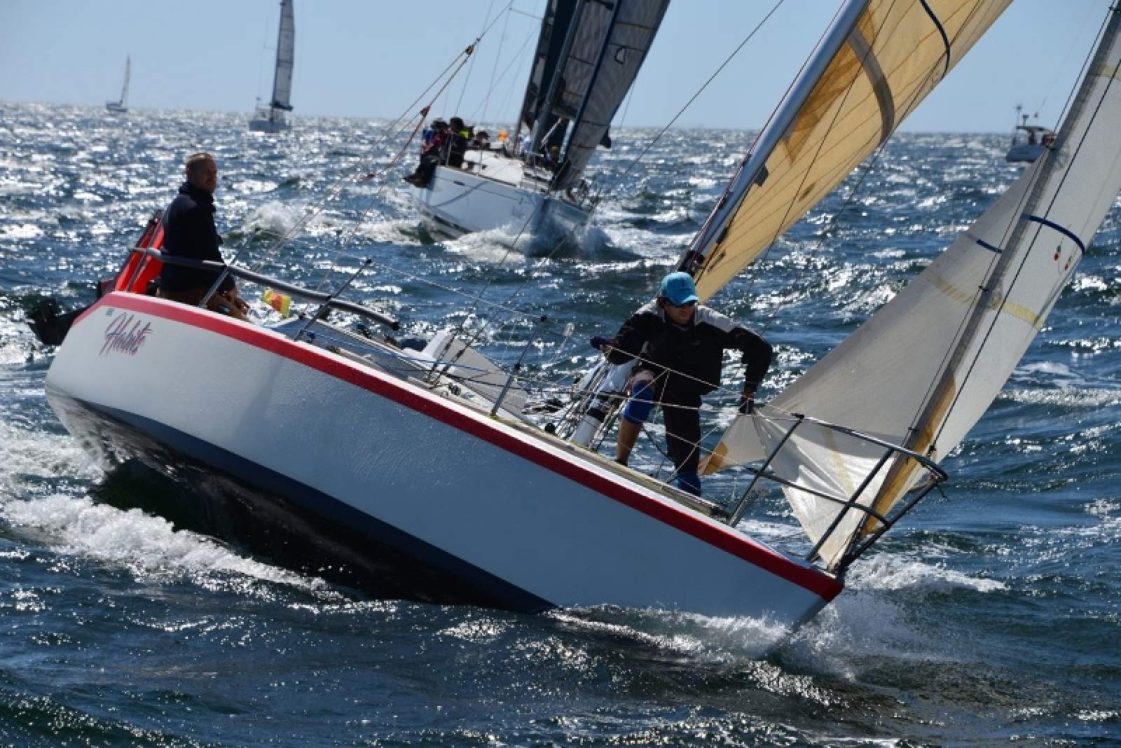 Adams 8