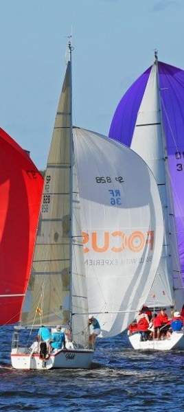 Adams 8