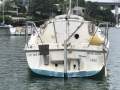 Binks 25 Trailer Sailer Need Clean up Cheap! Price (Sydney)