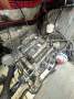 Sundeer 60