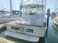 Luhrs 40 Express