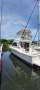 Riviera 36 Platinum Flybridge