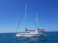 Peter Ibold Endurance 44
