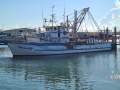 Carvel Timber Trawler and licence package