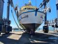 Carvel Timber Trawler and licence package