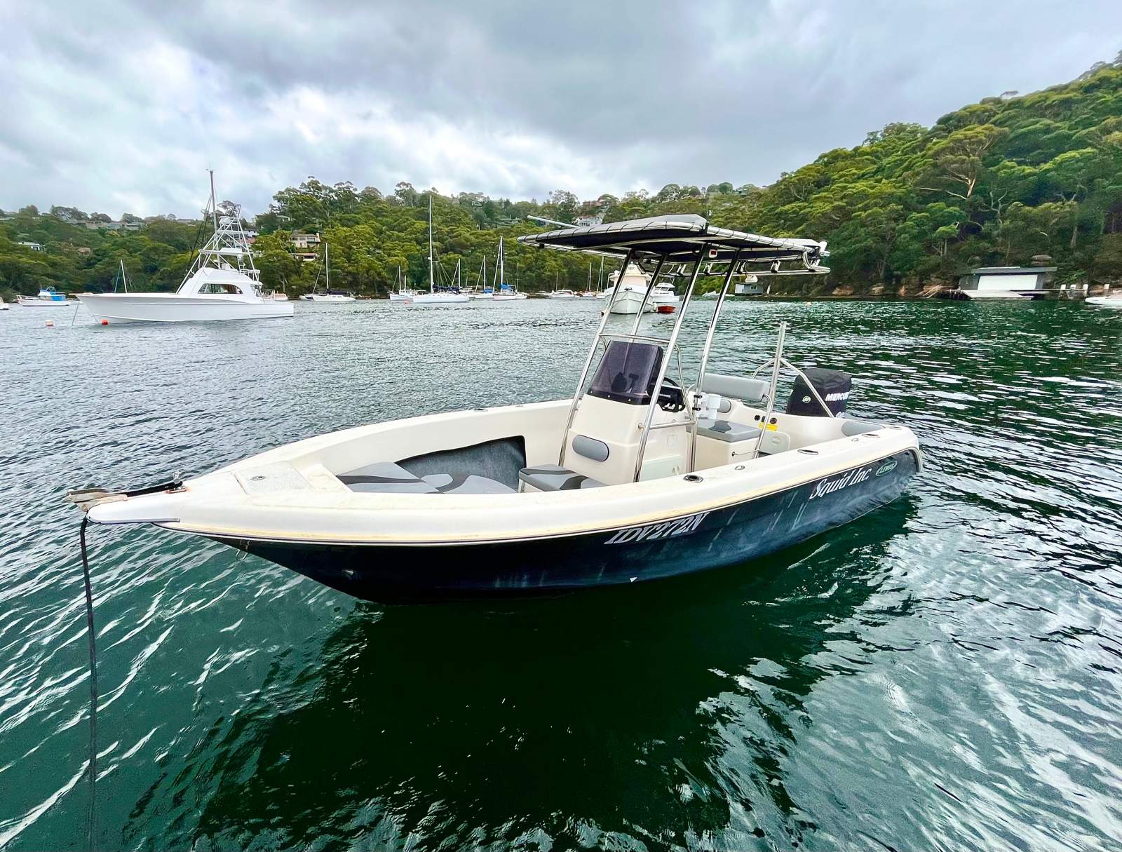 Lewis Boats 590 CC